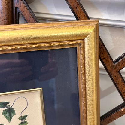 beautiful botanical framed print art under glass 17 x 14