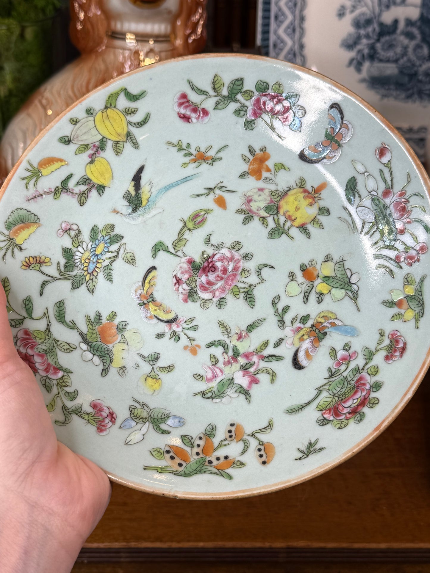 Antique Chinese Canton Celadon Famille Rose Bird & Butterfly Plate | Qing Dynasty, 19th Century | 8.75”