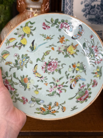 Antique Chinese Canton Celadon Famille Rose Bird & Butterfly Plate | Qing Dynasty, 19th Century | 8.75”