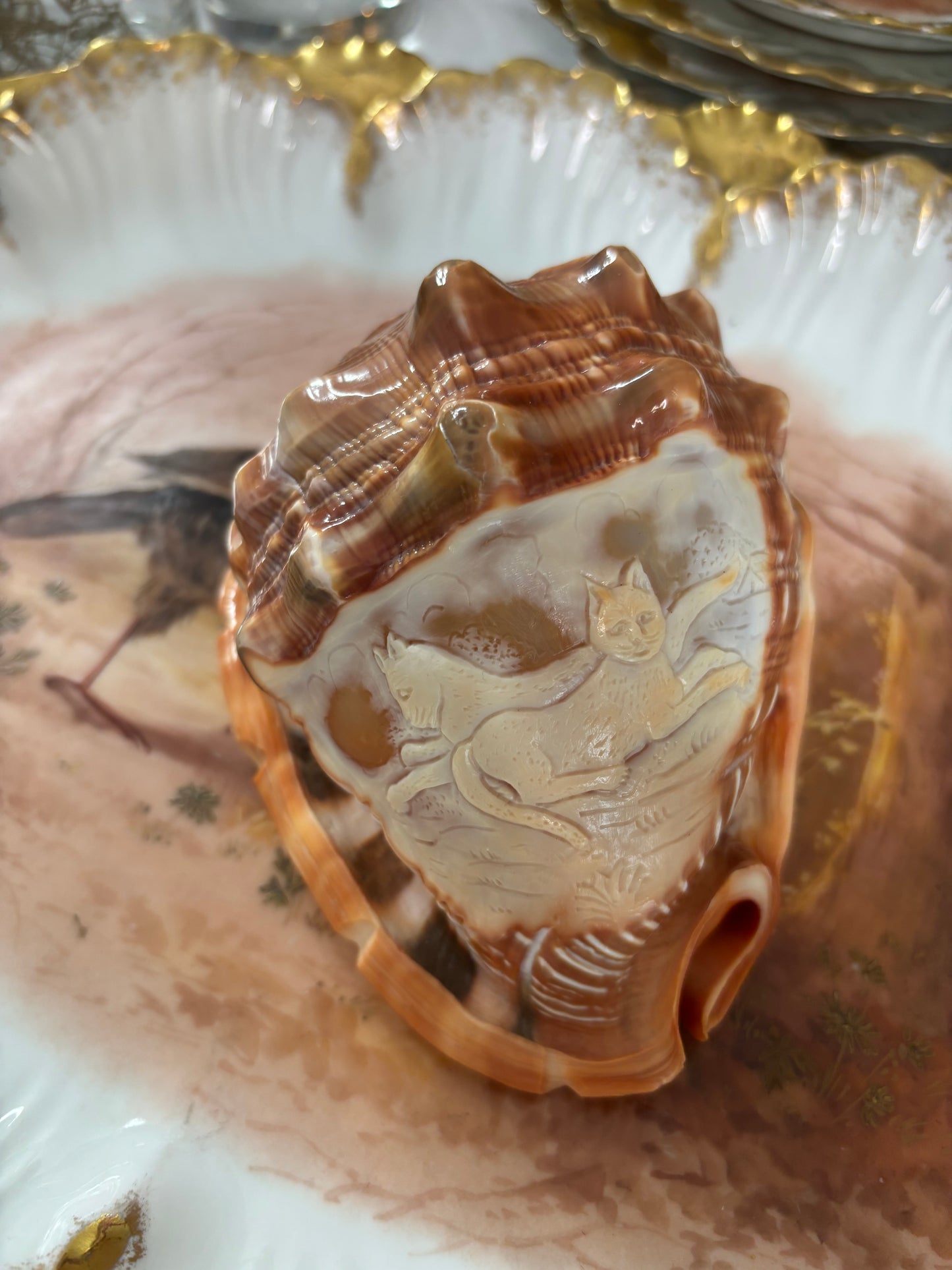 Stunning cameo conch shell with cats! Signed by artist!