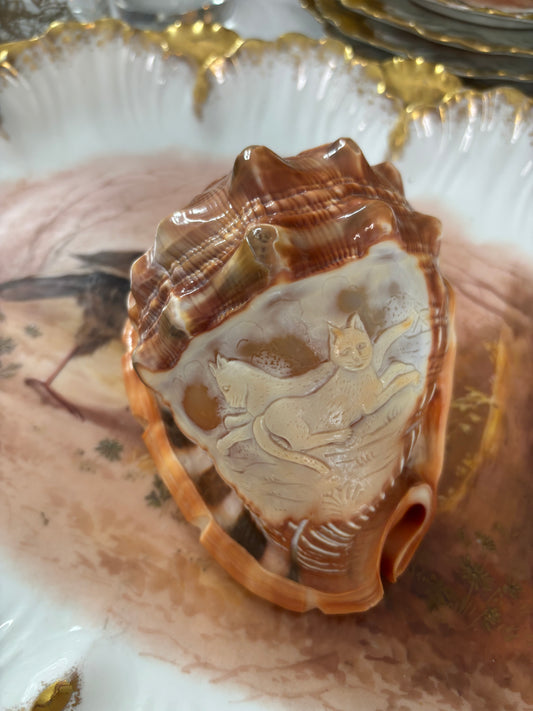 Stunning cameo conch shell with cats! Signed by artist!