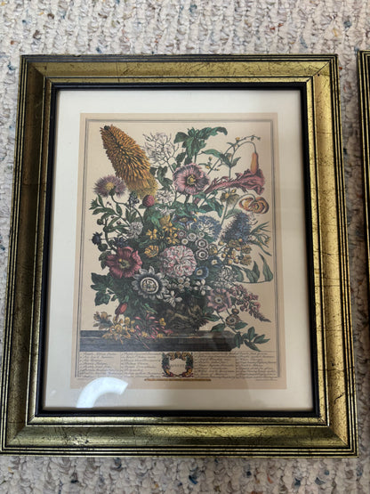 Framed Robert Furber August month print!
