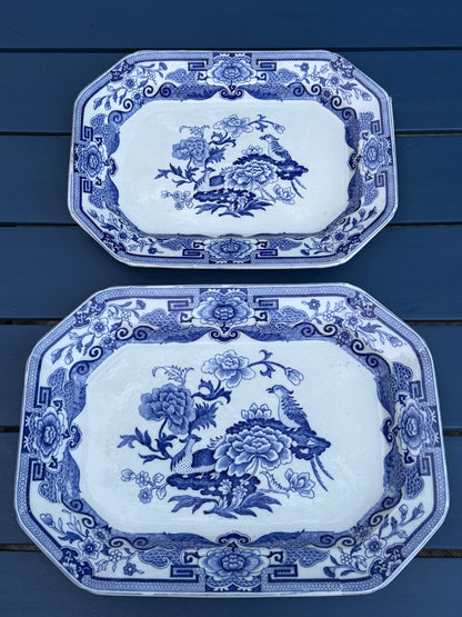 Antique Pair (2) Mason's Ironstone "India Pheasant" Blue & White Platters | Pair | Large & Small | c.1820 | Styles DA4493 & DA4494