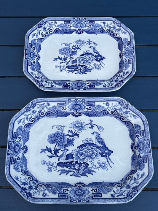 Antique Pair (2) Mason's Ironstone "India Pheasant" Blue & White Platters | Pair | Large & Small | c.1820 | Styles DA4493 & DA4494