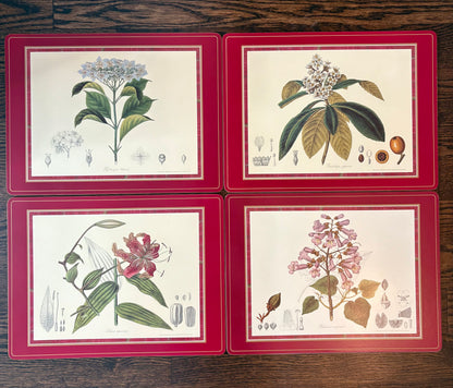 Set (4) Pimpernel Placemats
