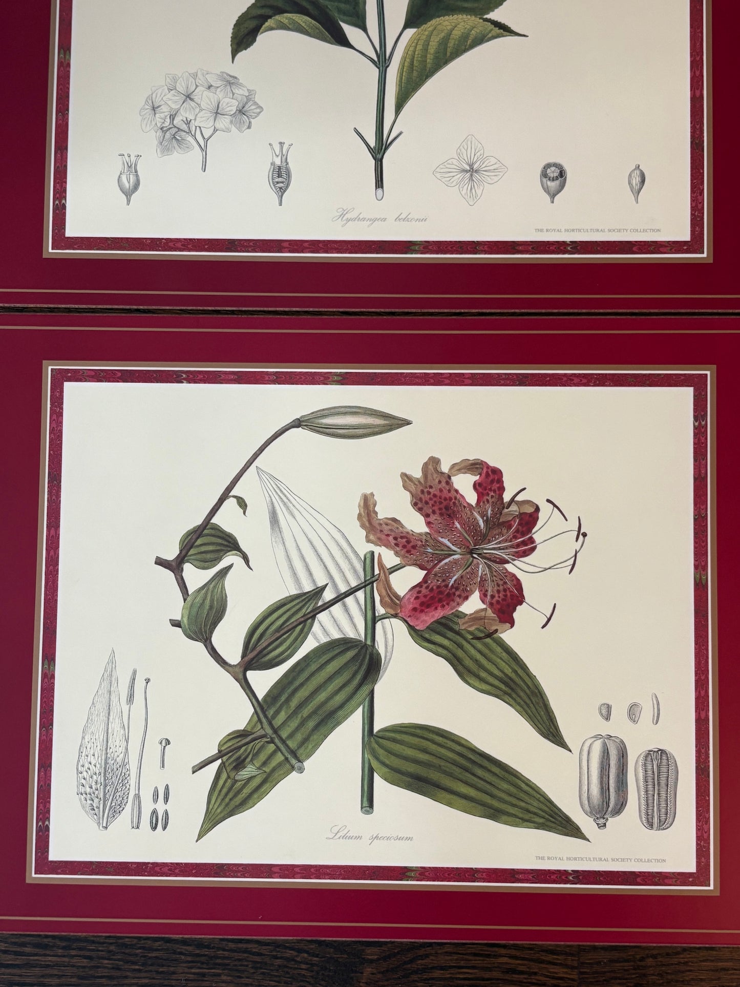 Set (4) Pimpernel Placemats