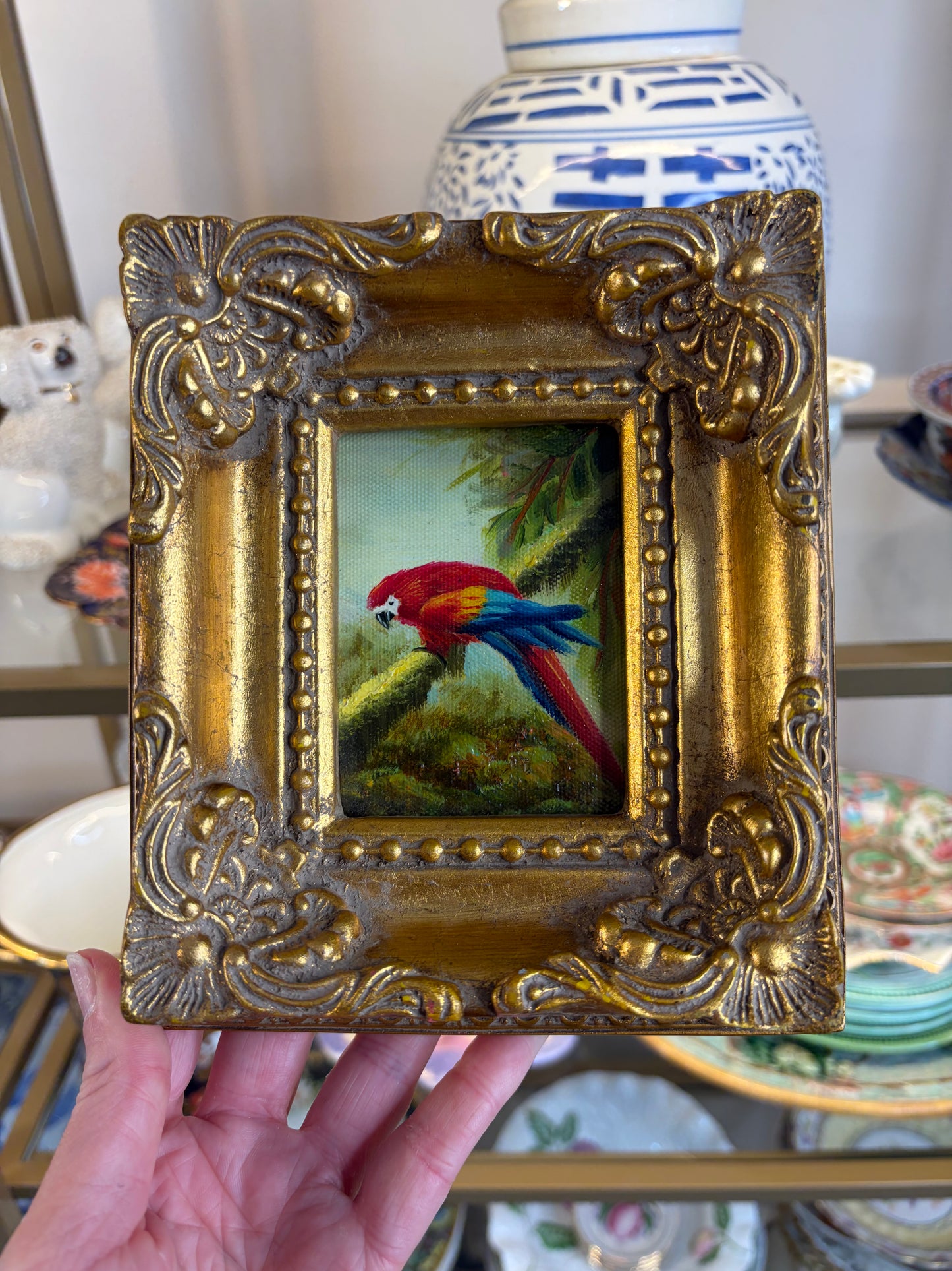 Beautiful original framed mini parrot painting!