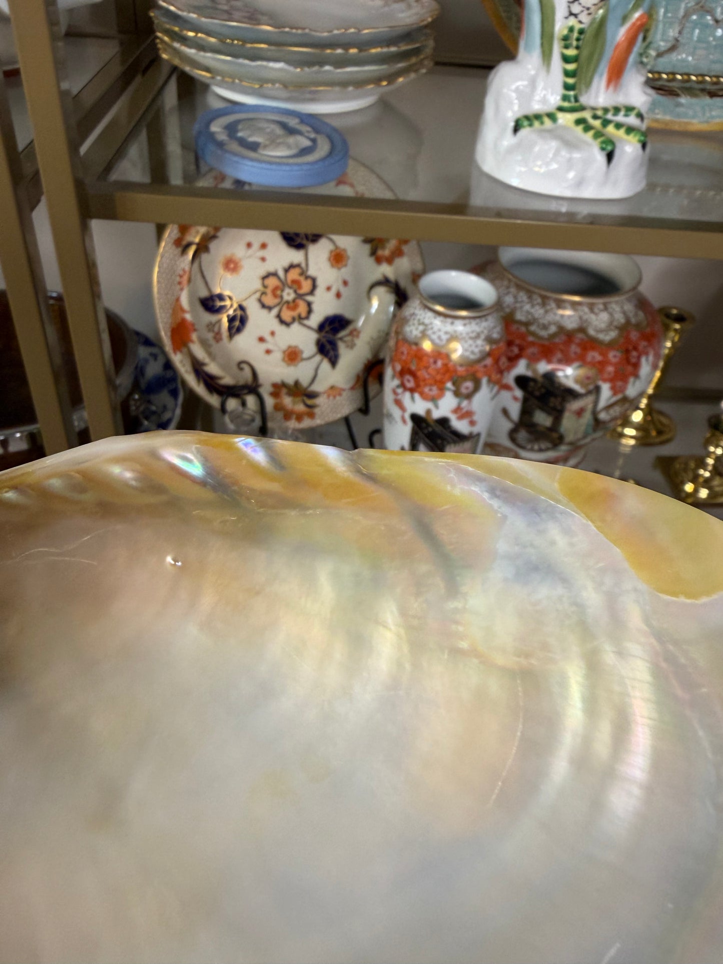 Lovely footed shell!