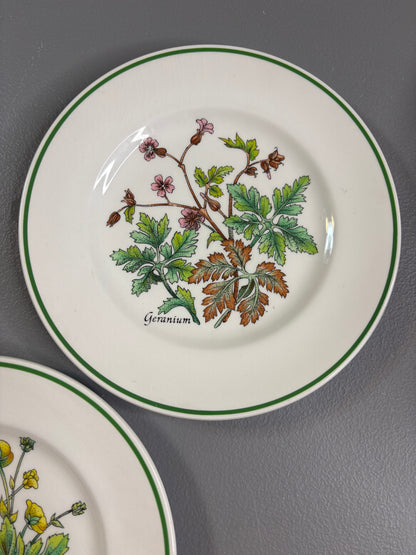 Beautiful Tiffany & Co. Johnson Brothers botanical plates set of 2!