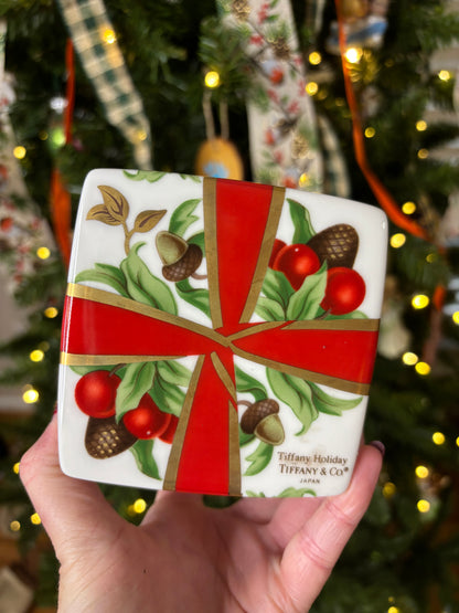 Stunning Tiffany & Co. present box!