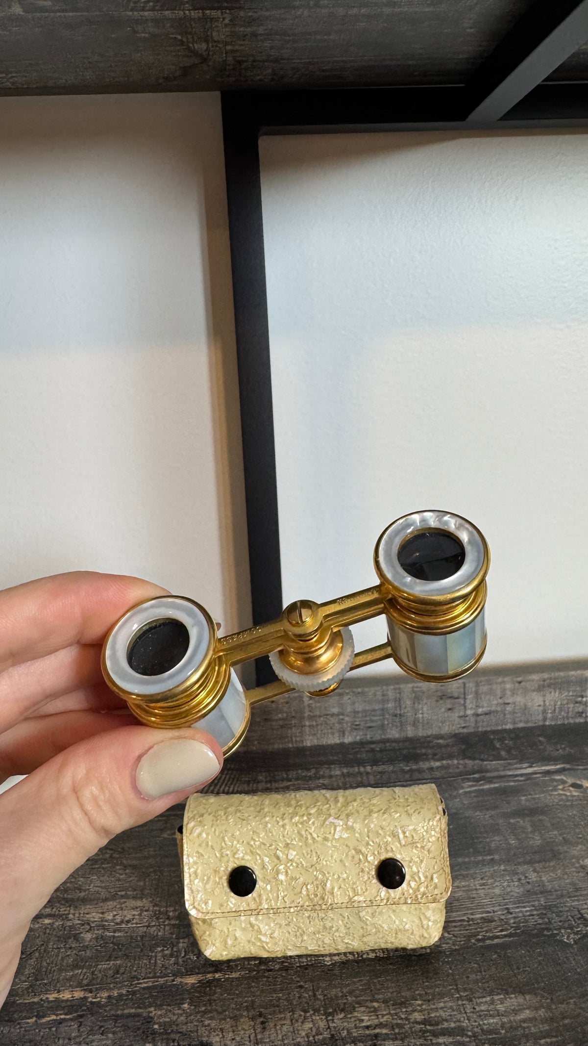 Vintage Mother-of-Pearl Opera Glasses with Fitted Case