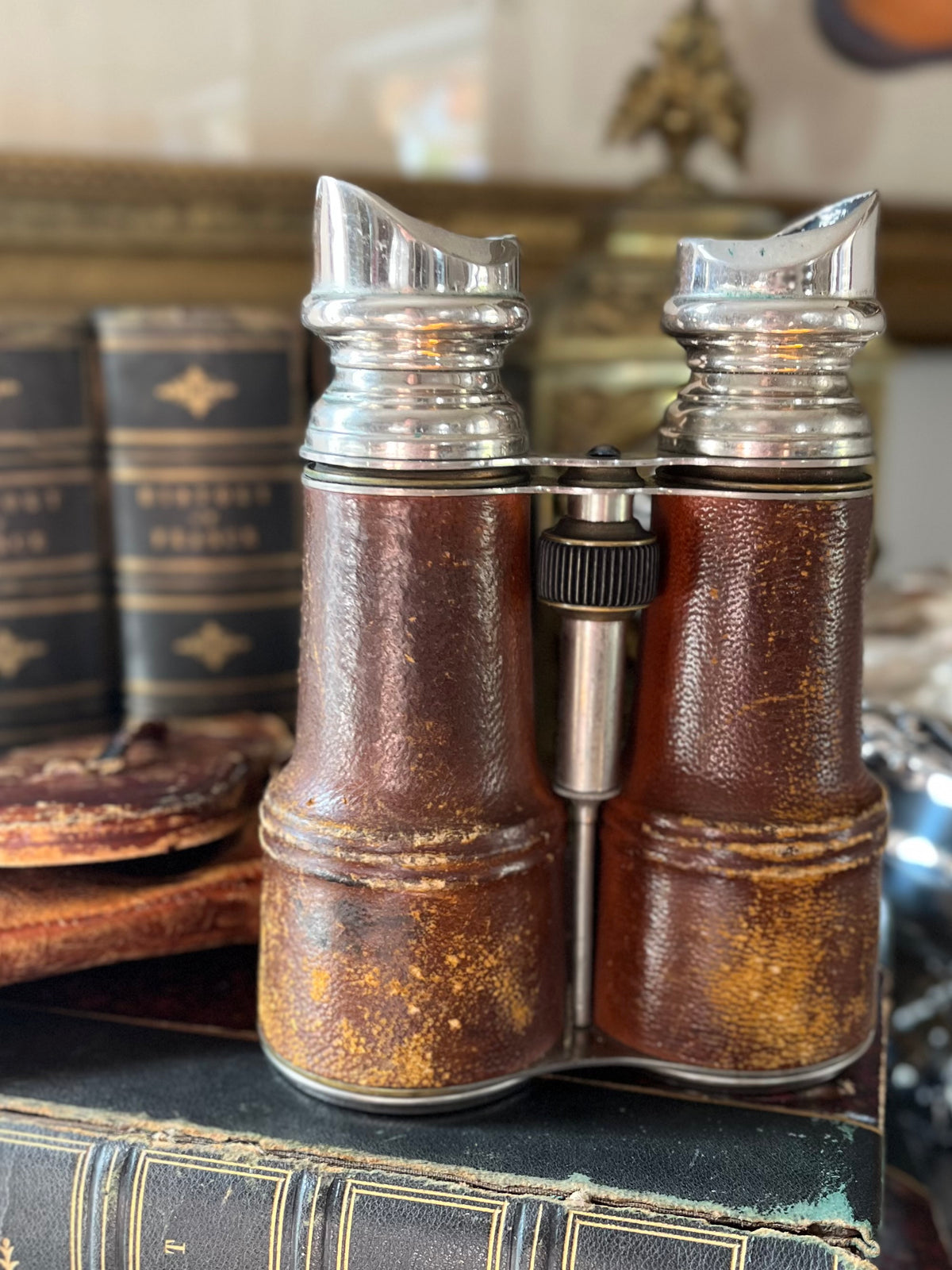 Antique French “Day & Night” Chevalier Paris Binoculars with Original Leather Case