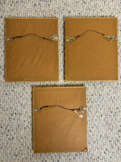 Lovely framed florals trio!