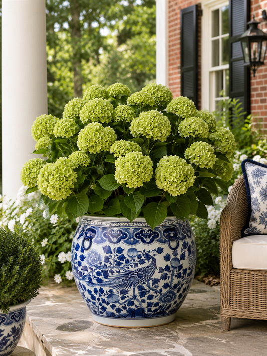 Danny's Fine Porcelain | XL Blue & White Bird Round Porcelain Planter |19.5"L × 19.5"W × 17.5"H #51142