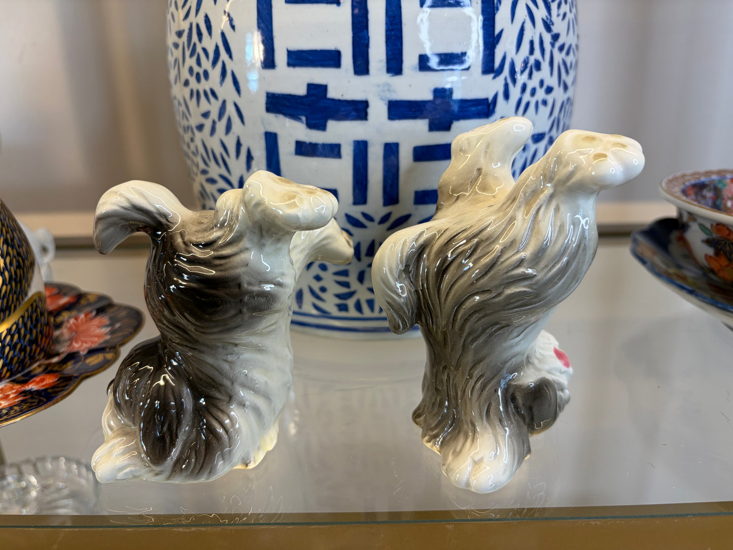 Sweetest tumbling sheep dogs pair!
