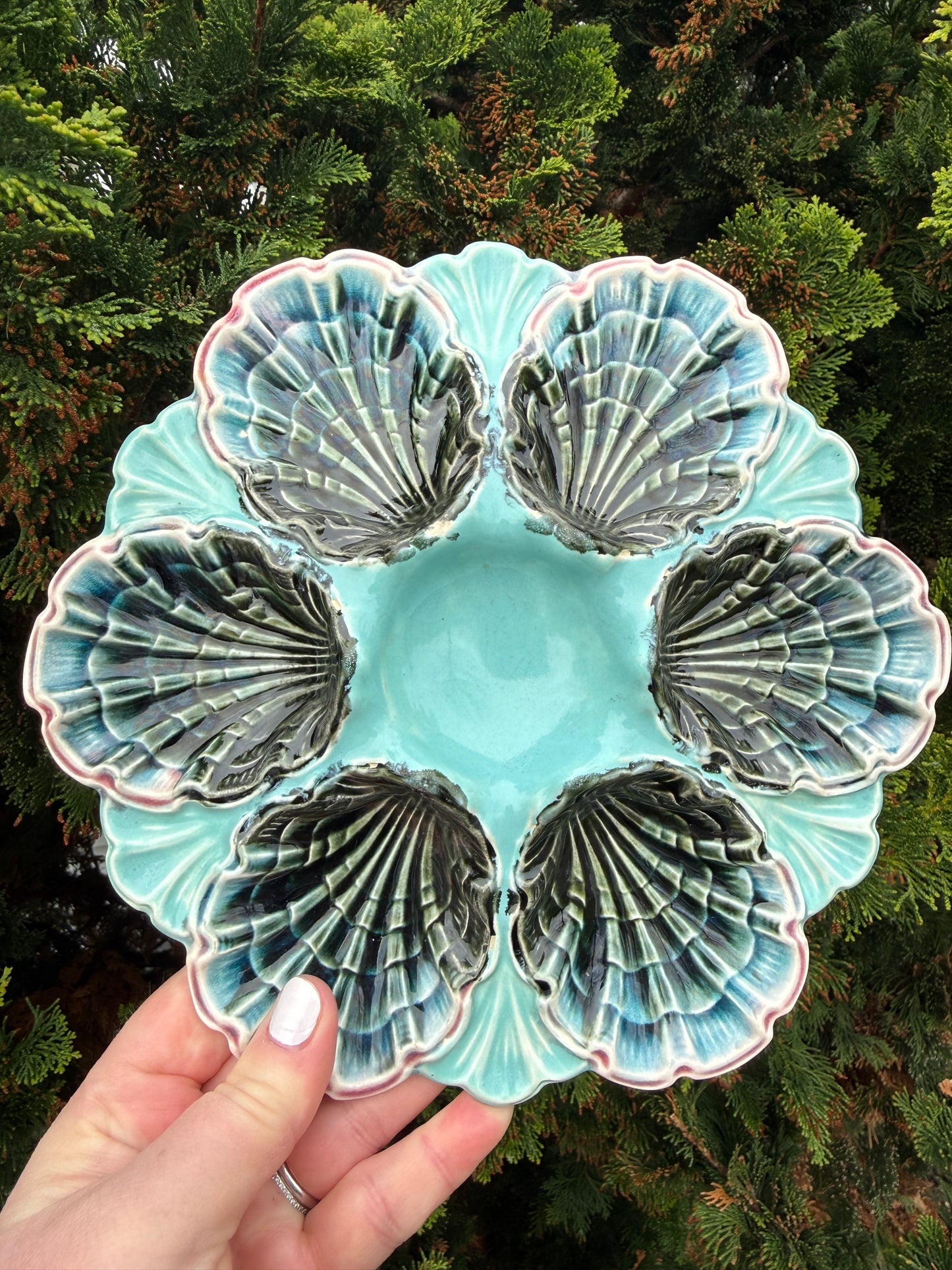 Antique French Oyster Plate