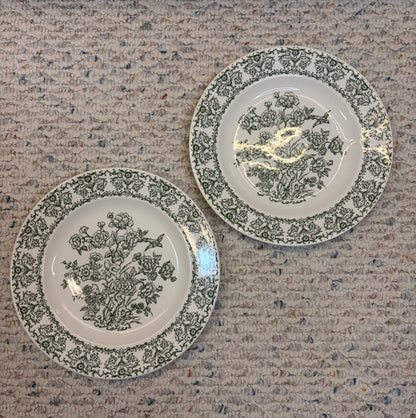 Beautiful green and white transferware plates with bird and floral details pair!