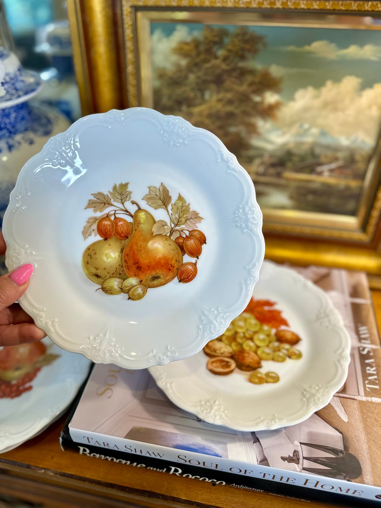 Fruit Harvest Baronesse Salad Plates by Tirschenreuth, Set of 5, Made in Germany, 8.25”