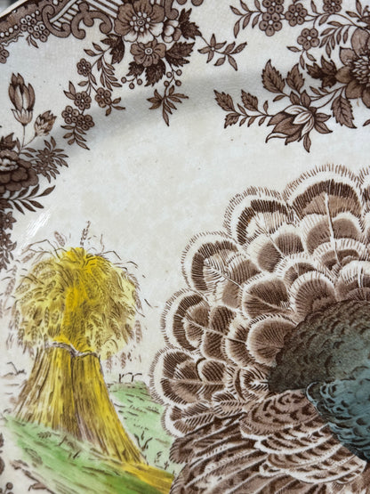 🔥ON AUCTION 🔥 Vintage Royal Staffordshire Dinnerware by Clarice Cliff | Tonquine Turkey 10 Dinner Plates & Large Platter | Thanksgiving Transferware | Made in England