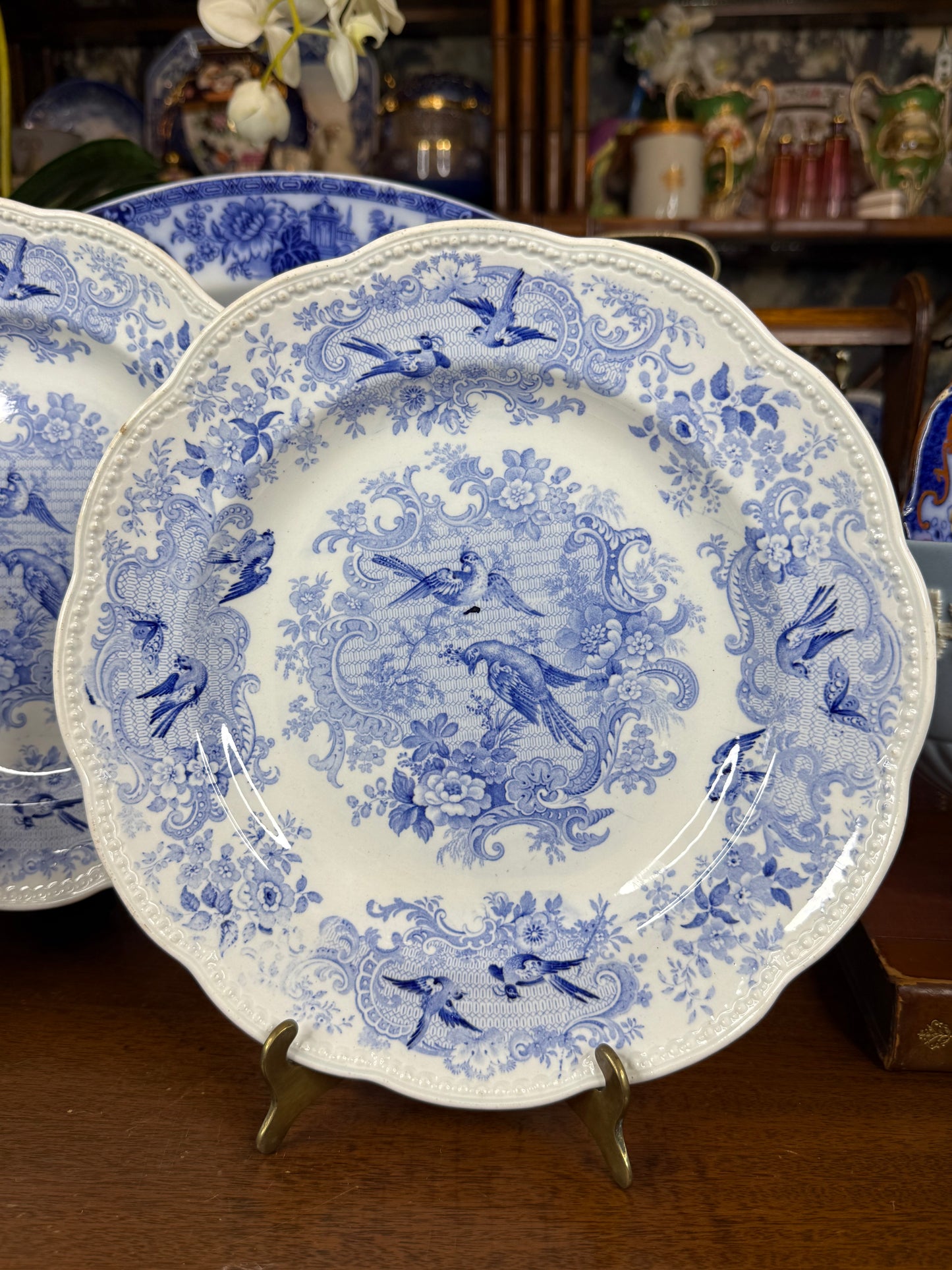 Pair of Wedgwood Blue & White Bird Design Plates | c.1884 | 10.25” D | #DA4599