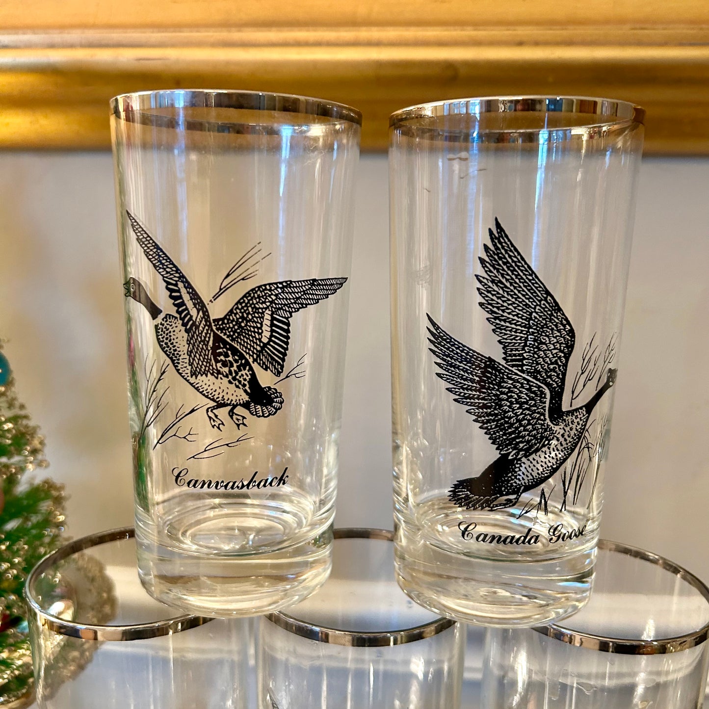Set of 7 Vintage 1970s Federal Glass Water Fowl Hunting Birds Highball Tumbler Glasses