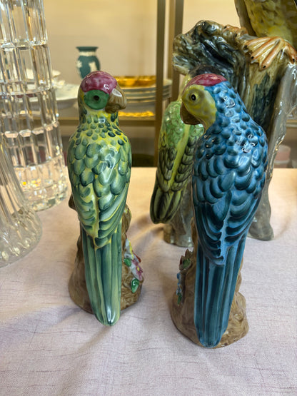 Lovely parrots pair!