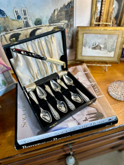 Yeoman Silver Plate EPNS Grapefruit Spoons & Knife Set | Sheffield, England | c. 1950s