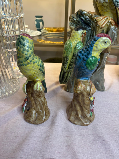 Lovely parrots pair!