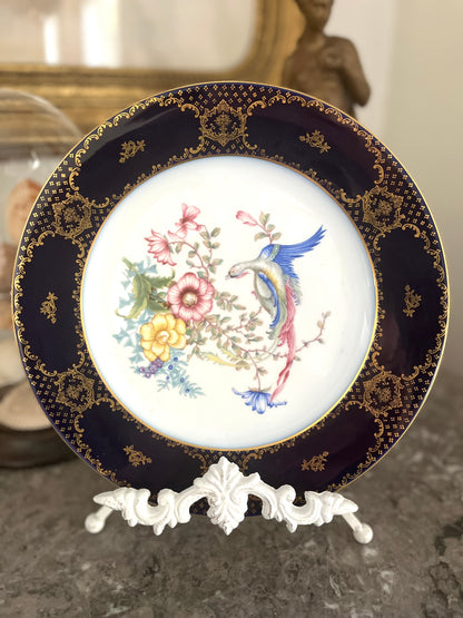 Live 06/22 Gorgeous Cobalt Bird Cabinet Plate - Rosenthal