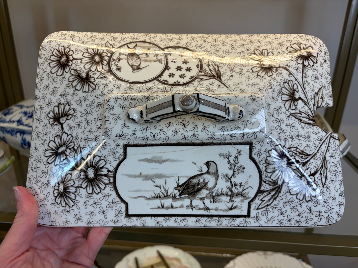 Stunning antique Ridgways brown transferware lidded tureen featuring birds! As is!