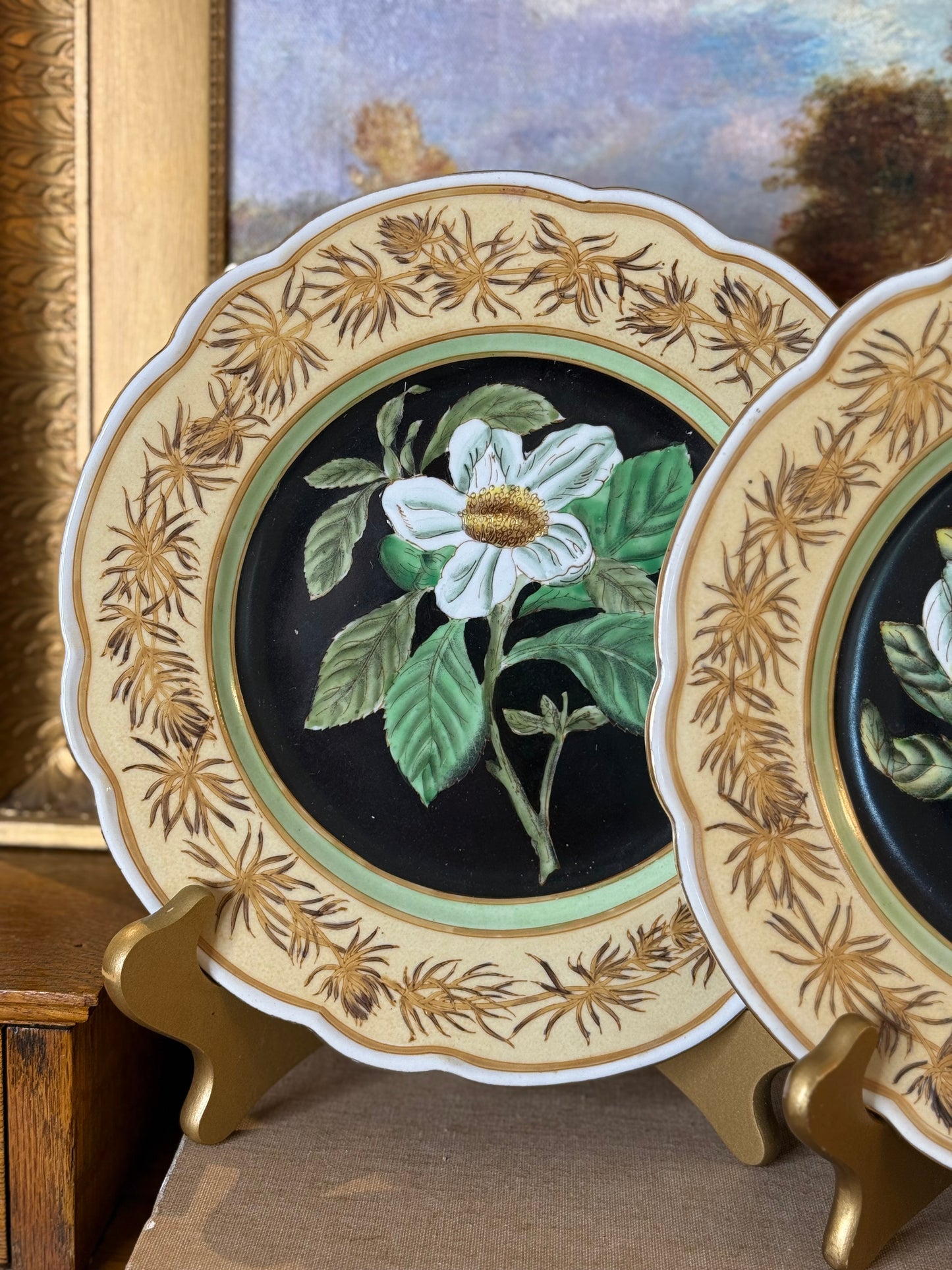 Danny’s Fine Porcelain - Hand-Painted Botanical Porcelain Plate Pair
