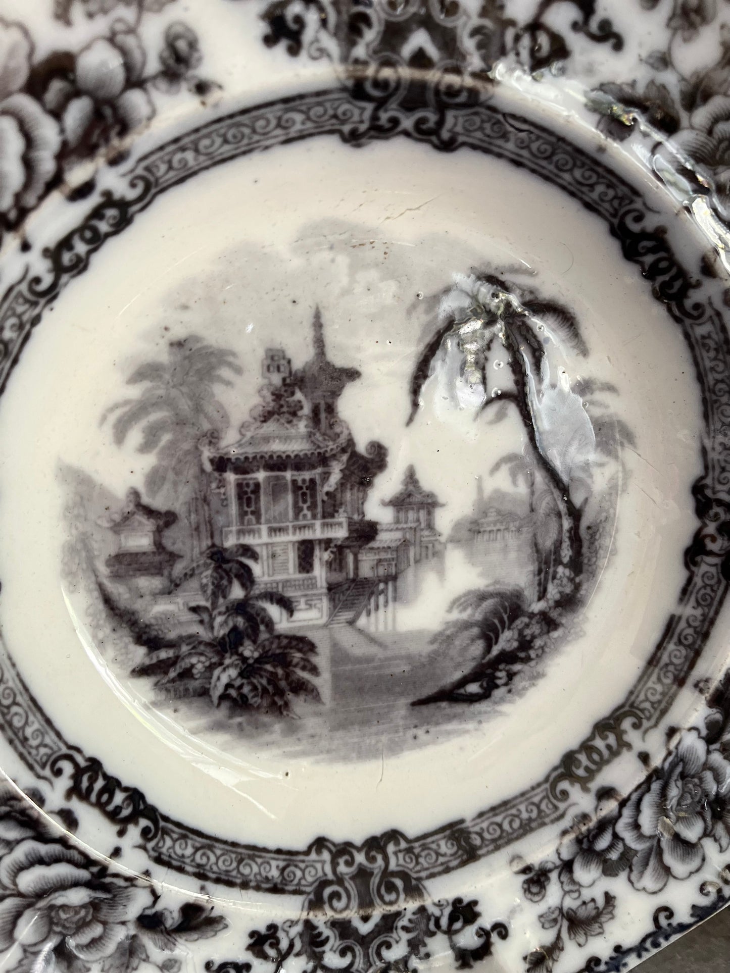Live 06/29 Antique Davenport “Cypress” Mulberry Transferware Cabinet Plate 10 1/2”