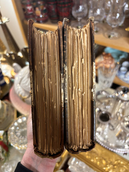 Stunning antique leather-bound volumes of the works of Honoré de Balzac, specifically Volume XXII, Cousin Pons, and Volume XXIX, The Chouans!