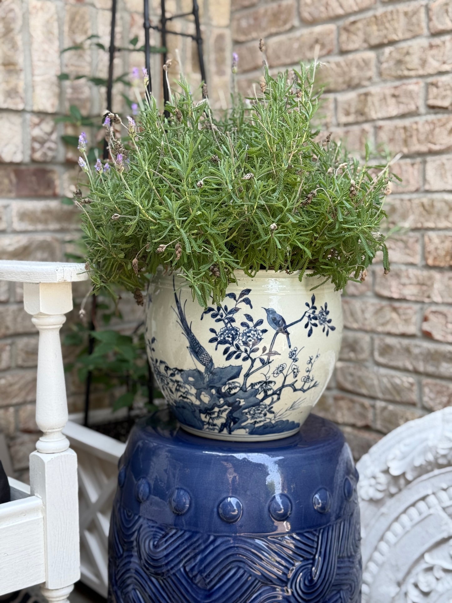 Danny’s Fine Porcelain - Blue & White, 10" Tall, Hand painted Planter/Pot Bird Design
