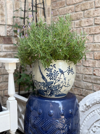 Danny’s Fine Porcelain - Blue & White, 10" Tall, Hand painted Planter/Pot Bird Design