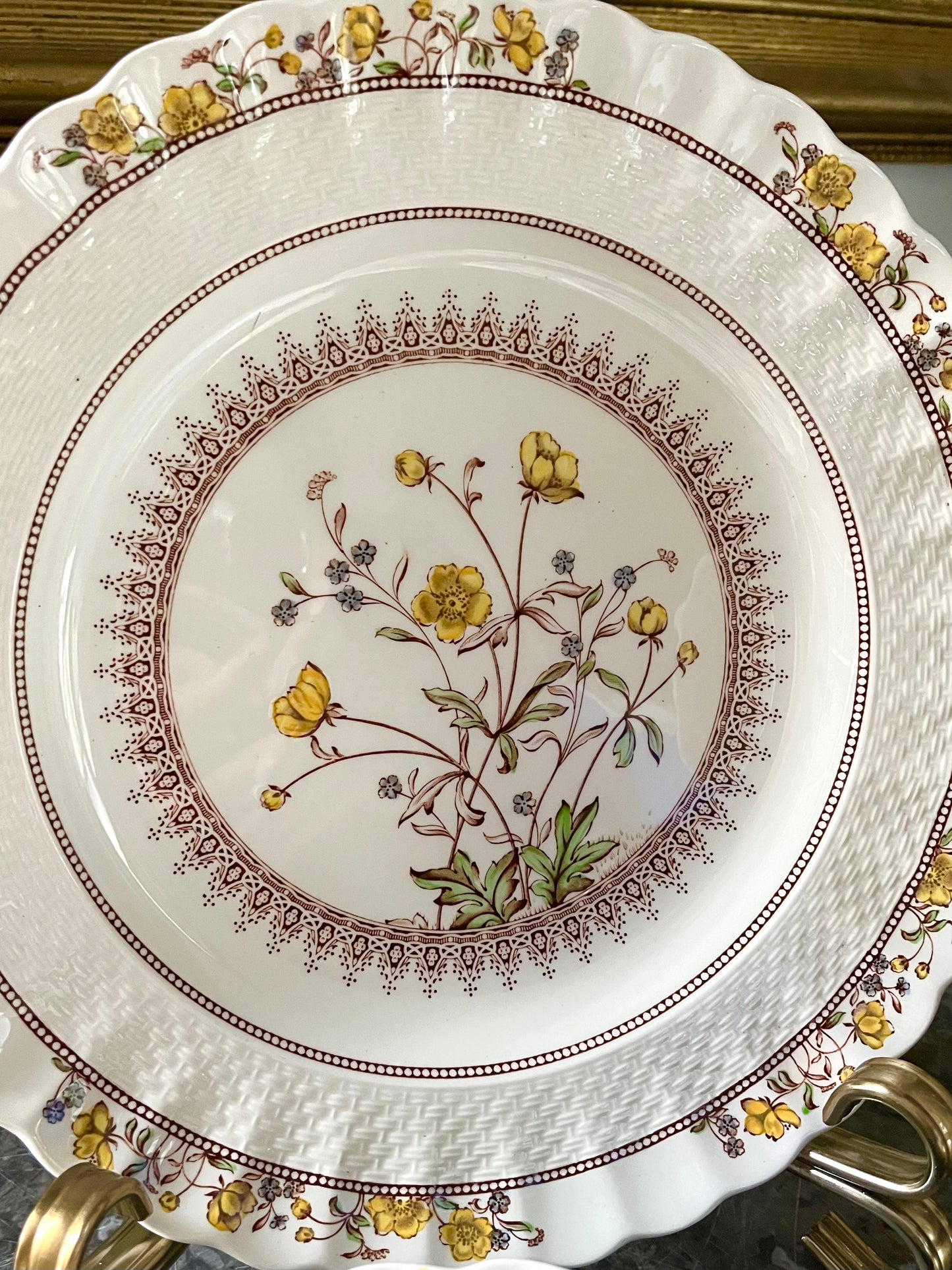 Live 06/29 Beautiful Set Of 6 Spode Buttercup Dinner Plates/3 Bonus Salad Plates