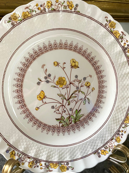 Live 06/29 Beautiful Set Of 6 Spode Buttercup Dinner Plates/3 Bonus Salad Plates