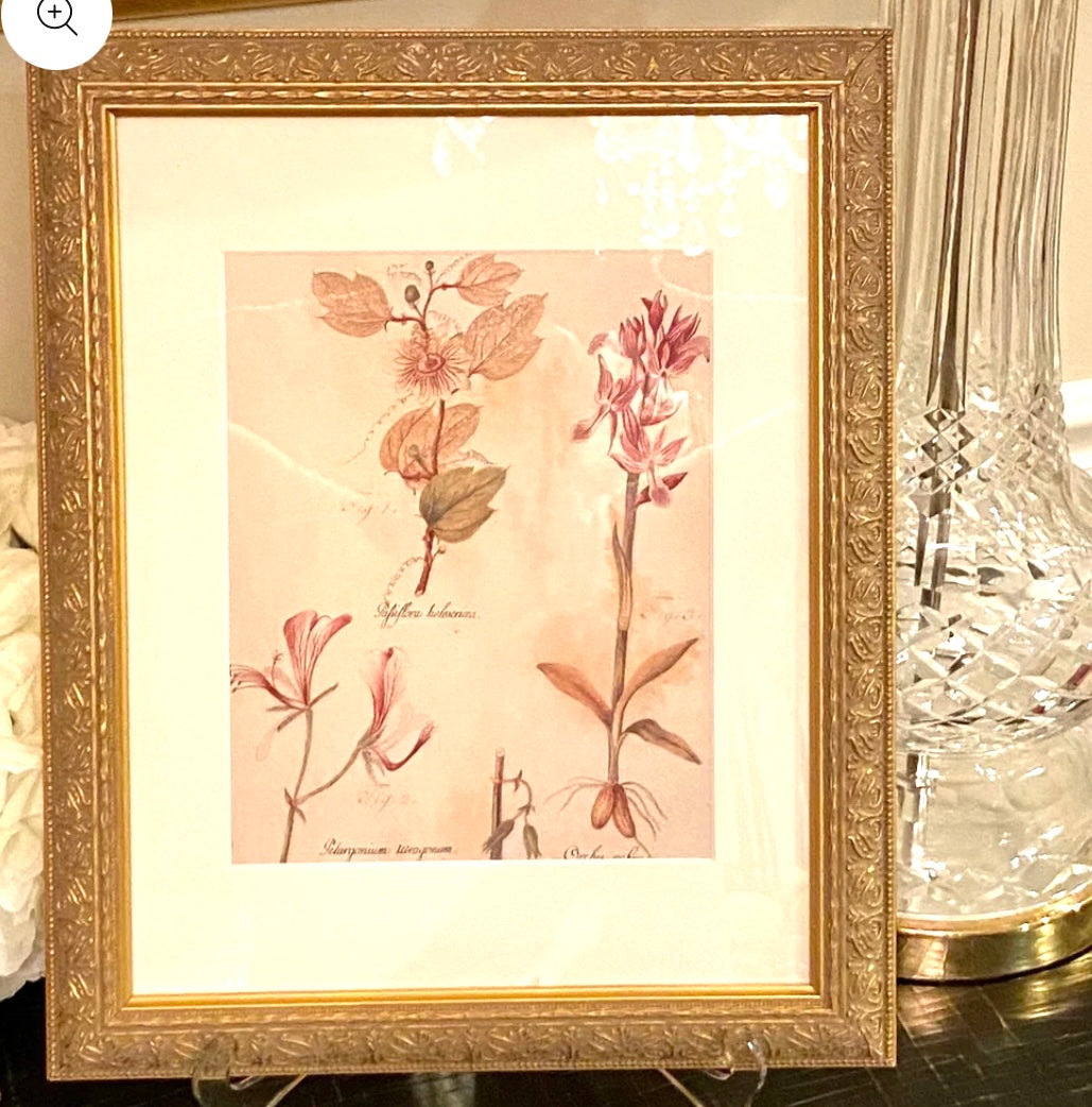 Pair of vintage botanical prints wall art in gild frame