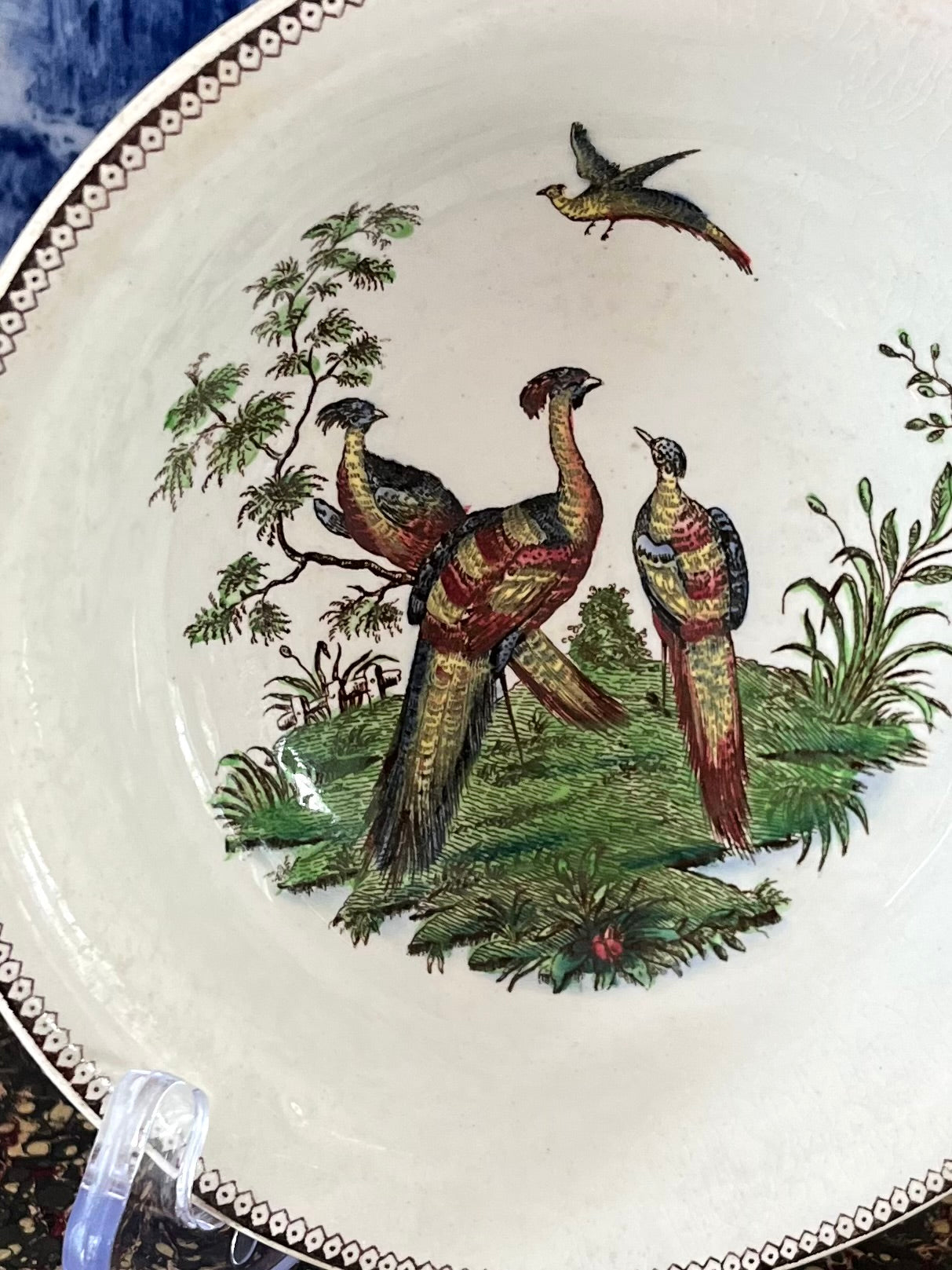 Live 08/25 Antique Wedgwood Etruria Polychrome Pheasant Bird Bowl c. 1913