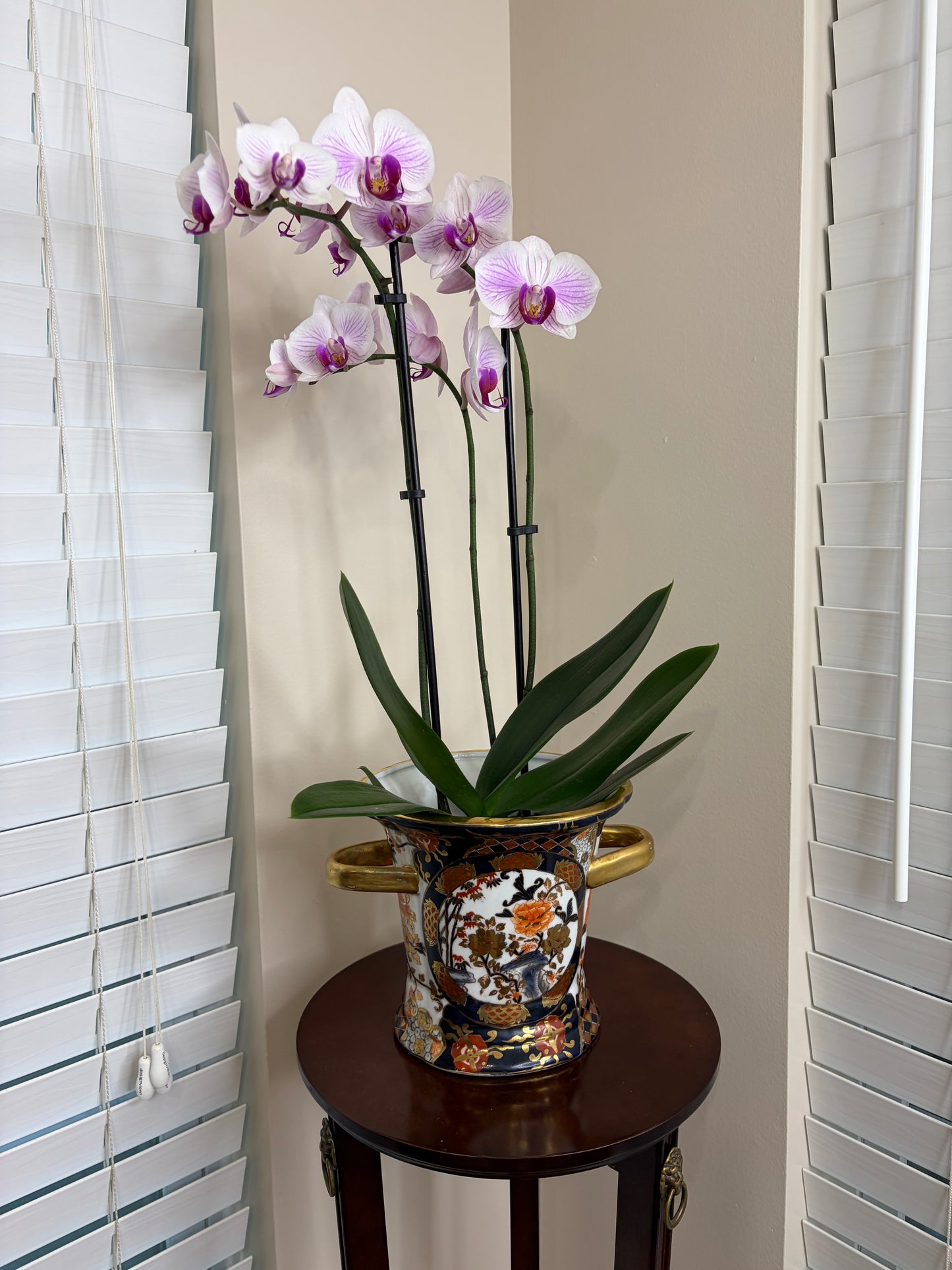 Beautiful Imari colors cachepot with gold handles!
