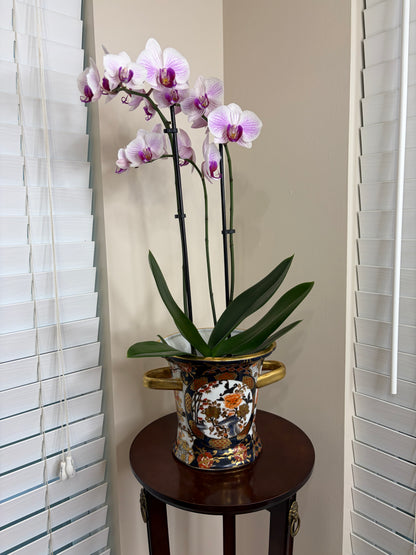 Beautiful Imari colors cachepot with gold handles!