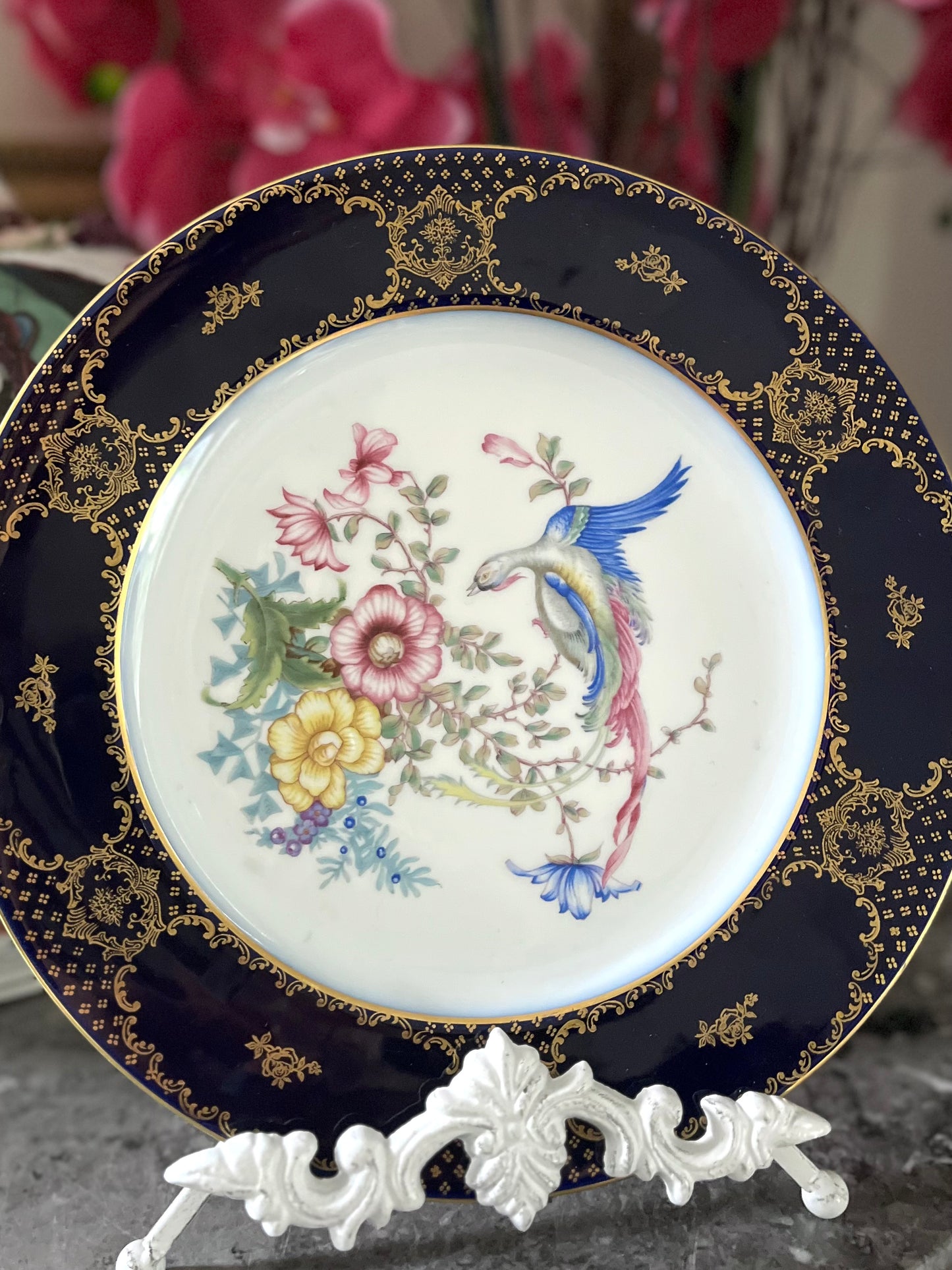 Live 06/22 Gorgeous Cobalt Bird Cabinet Plate - Rosenthal