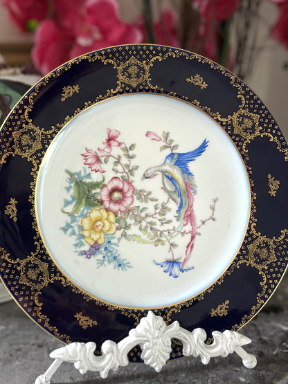 Live 06/22 Gorgeous Cobalt Bird Cabinet Plate - Rosenthal