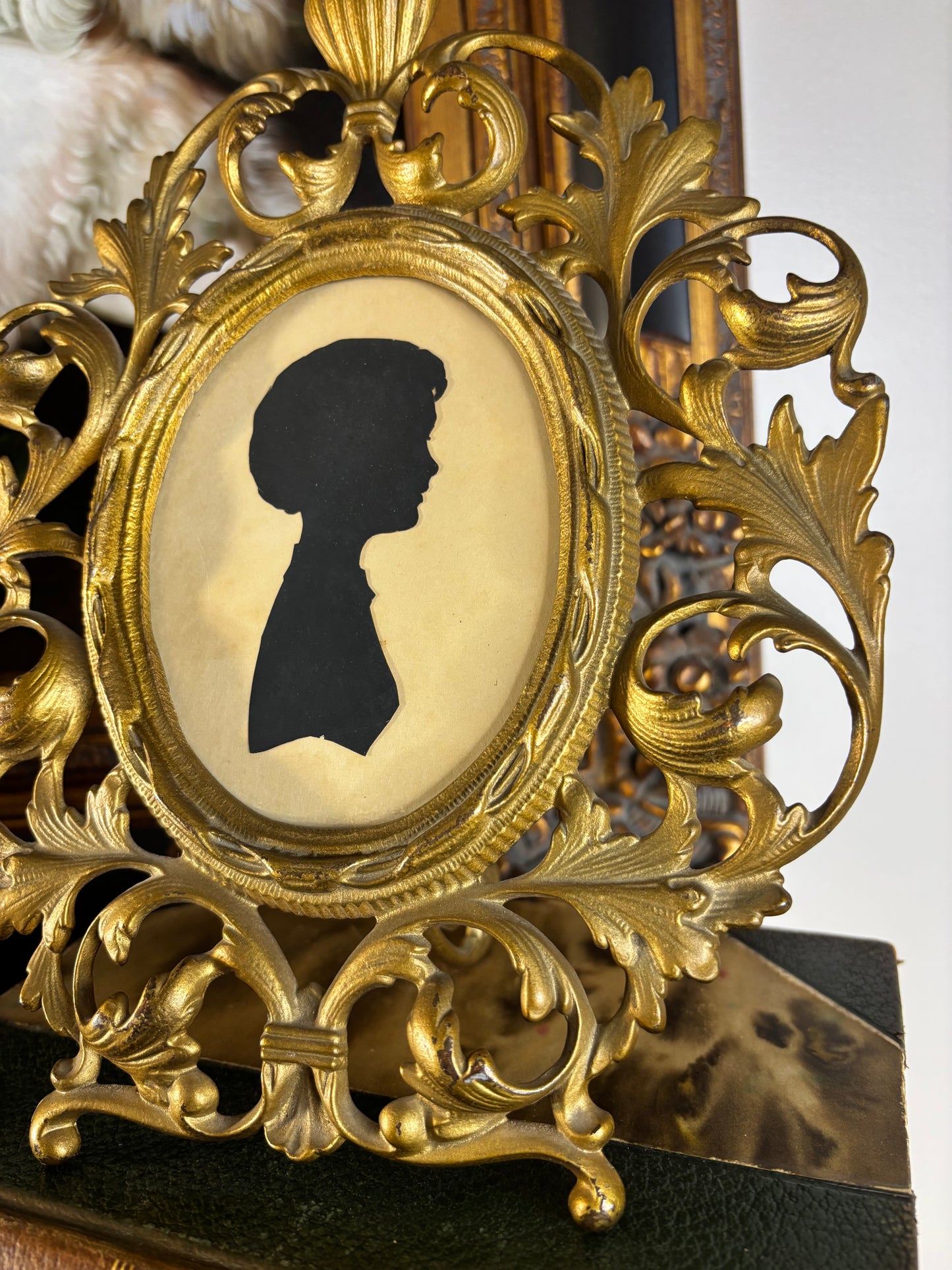 Beautiful ornate framed silhouette!