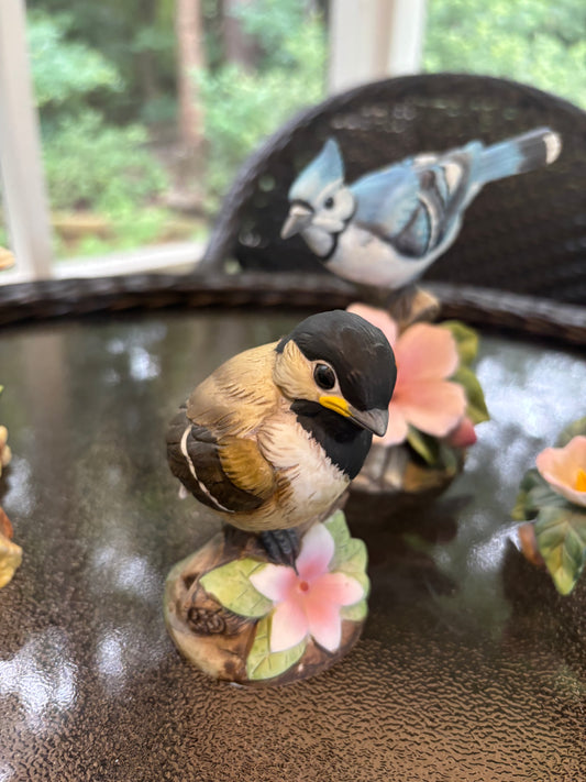 Sweetest Andrea by Sadek chickadee! - Excellent condition!