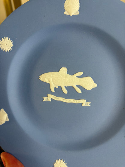 Rare Wedgwood Jasperware Coelacanth Plate with shell border!
