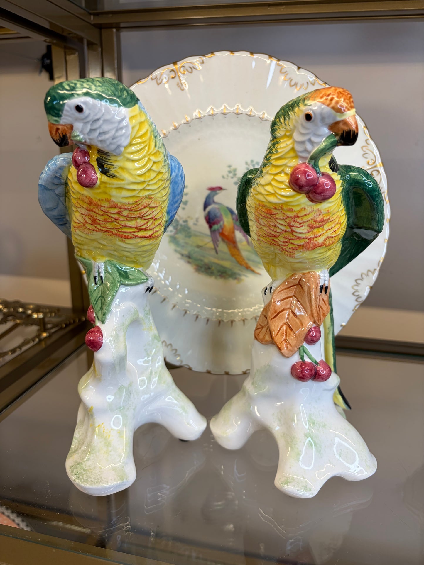 Stunning Chelsea House parrots pair!