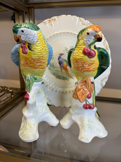 Stunning Chelsea House parrots pair!