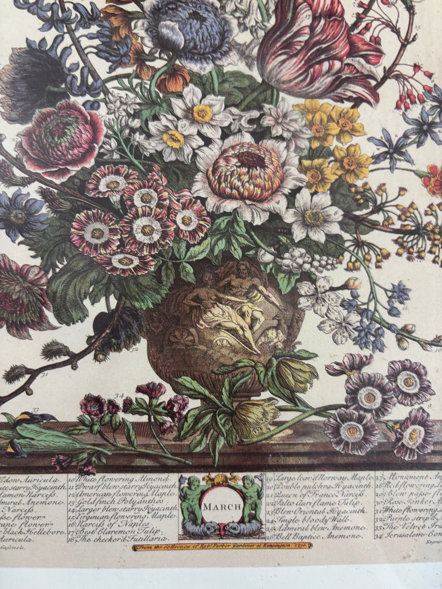 March Framed Botanical Month Print!