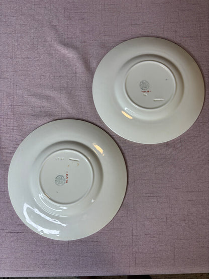Wedgwood salad plates in the discontinued Kingston Blue pattern, featuring light blue embossed scrolls on a white background pair!